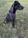 Aurora - Photo 2