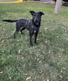 Aurora - Photo 3
