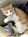 Alvin - Photo 3