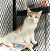Alvin - Photo 4