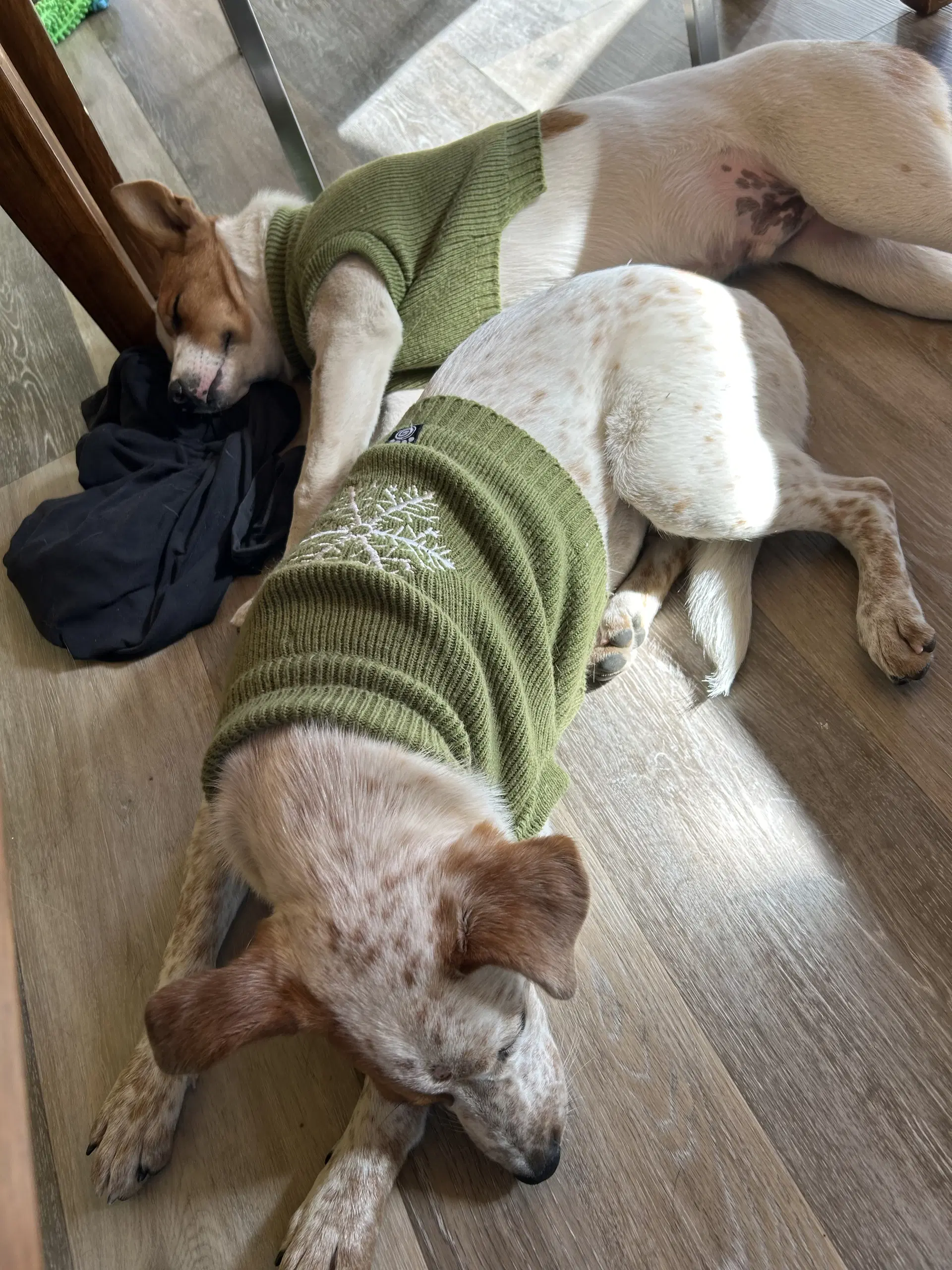 Lila image 3