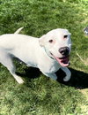 Chase - Photo 2
