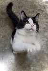 Marcello - Photo 2
