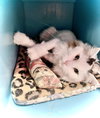 Mia - Photo 7
