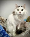 Mia - Photo 8