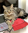 Twizzler - Photo 3