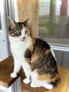 Blanche - Photo 2