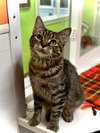Betty - Photo 3