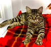 Betty - Photo 4