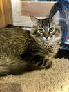 Ozzy - Photo 1