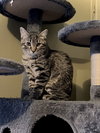Annie - Photo 2