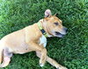 Steeler - Photo 4