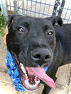Tucker - Photo 1