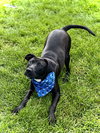 Tucker - Photo 2