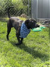 Tucker - Photo 3