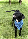 Tucker - Photo 4