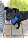 Tucker - Photo 5