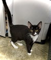 Gladys - Photo 2