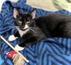 Gladys - Photo 3