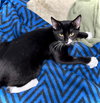 Gladys - Photo 4