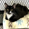 Gladys - Photo 1
