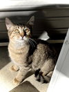Estelle - Photo 2