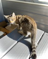 Estelle - Photo 5