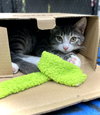Thor - Photo 7