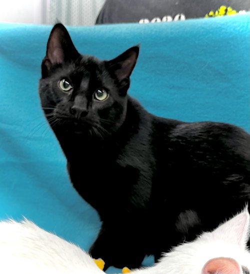 Photo 3 of Loki
