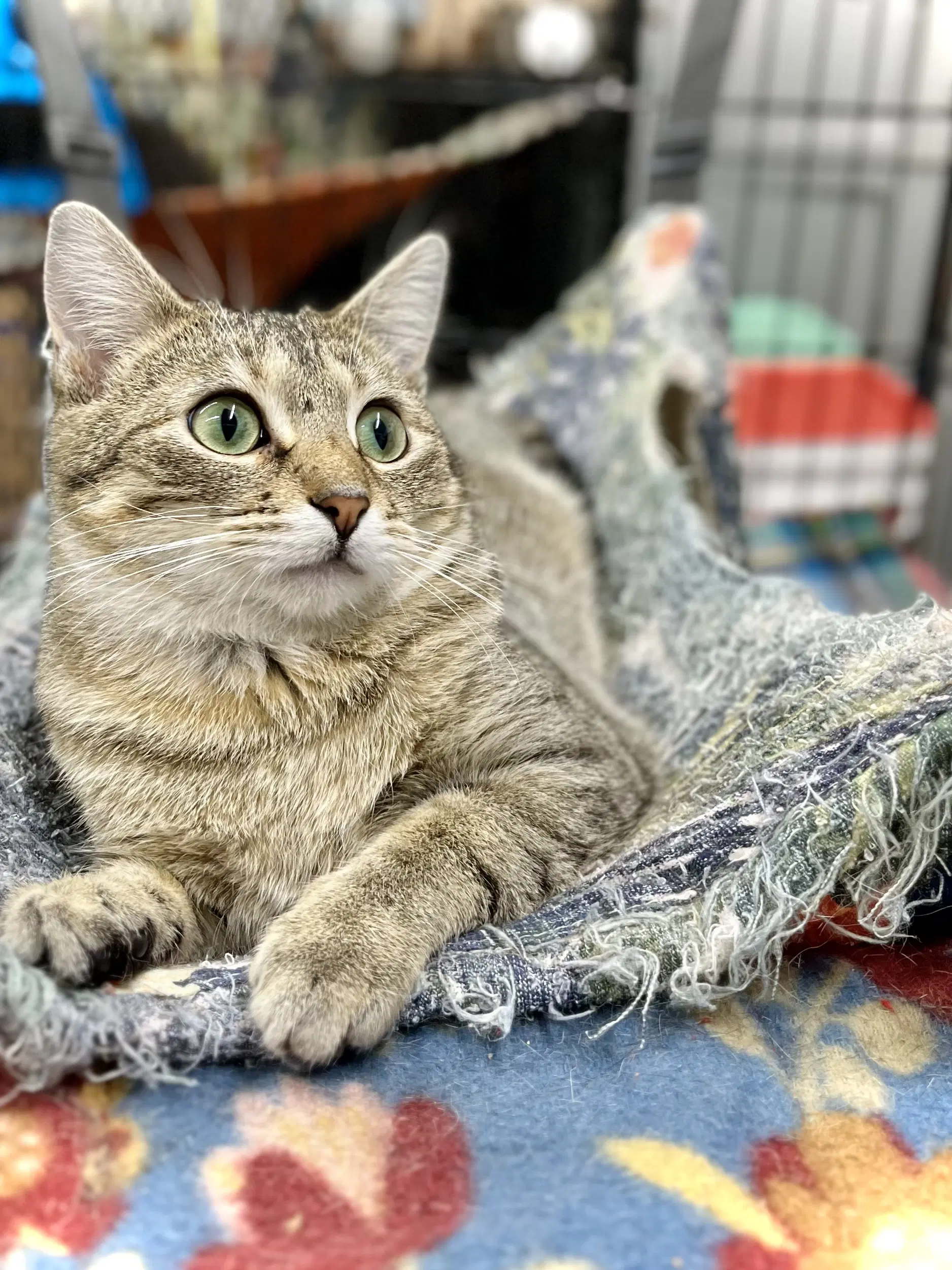 Sun Beam image 2
