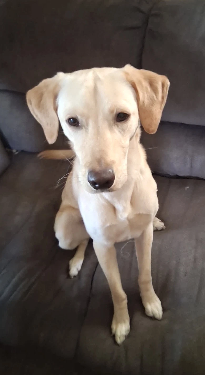 Benny