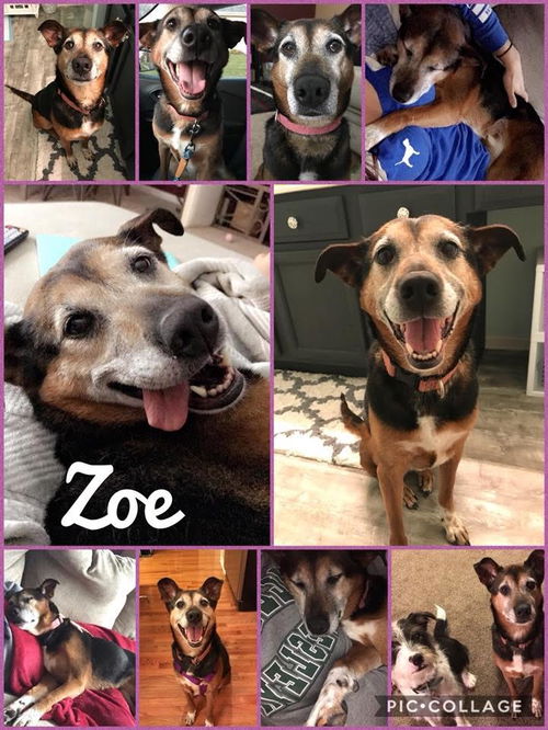 Zoe