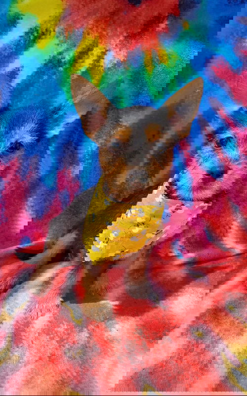 Nobel