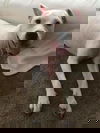 Ellie