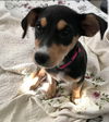 Elsie
