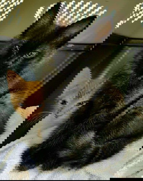 ZERO