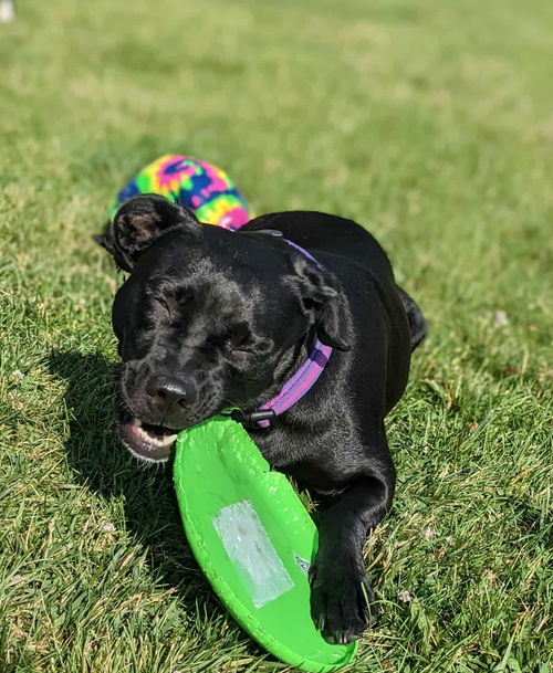 Mazie FKA Ducky