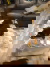 Anna 2