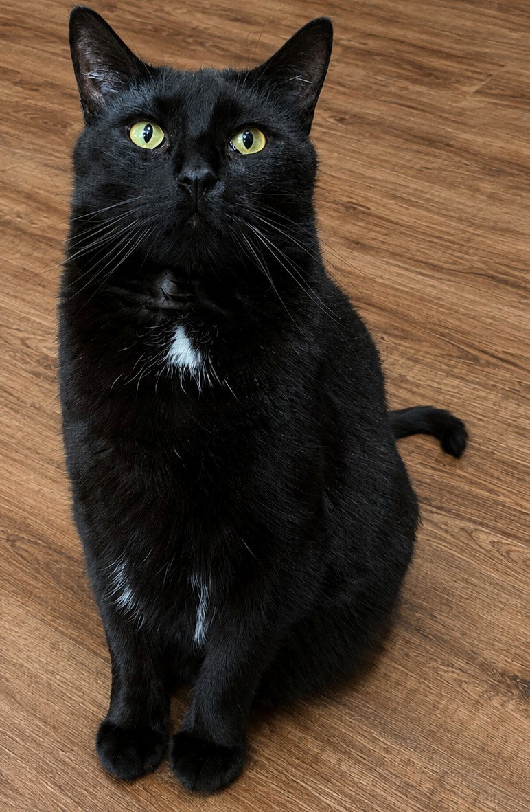MARSHALL ERIKSEN (Bonded w/ Barney), photo 2
