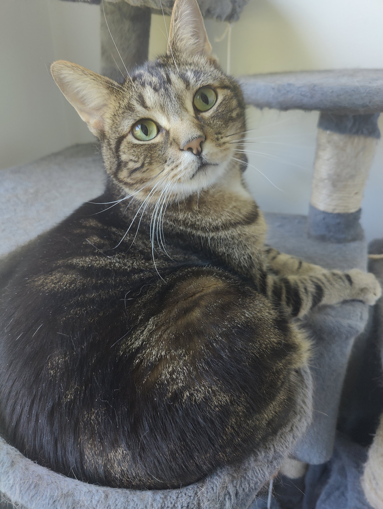 BARNEY STINSON (Bonded w/ Marshall), photo 2