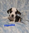 Klondike