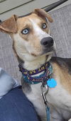 Skye