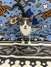 SANDY (bonded with Frenchy) - Photo 8
