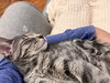FRENCHY (bonded with Sandy) - Photo 4