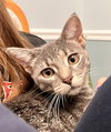 FRENCHY (bonded with Sandy) - Photo 9