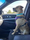 Peaches - Photo 3