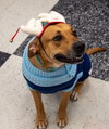 Peaches - Photo 2