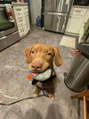 Reba - Photo 3