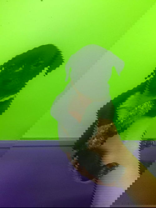 Thin Mint