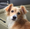 Buddy Bailey